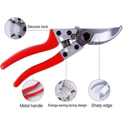 Fruit Tree Pruning Shears